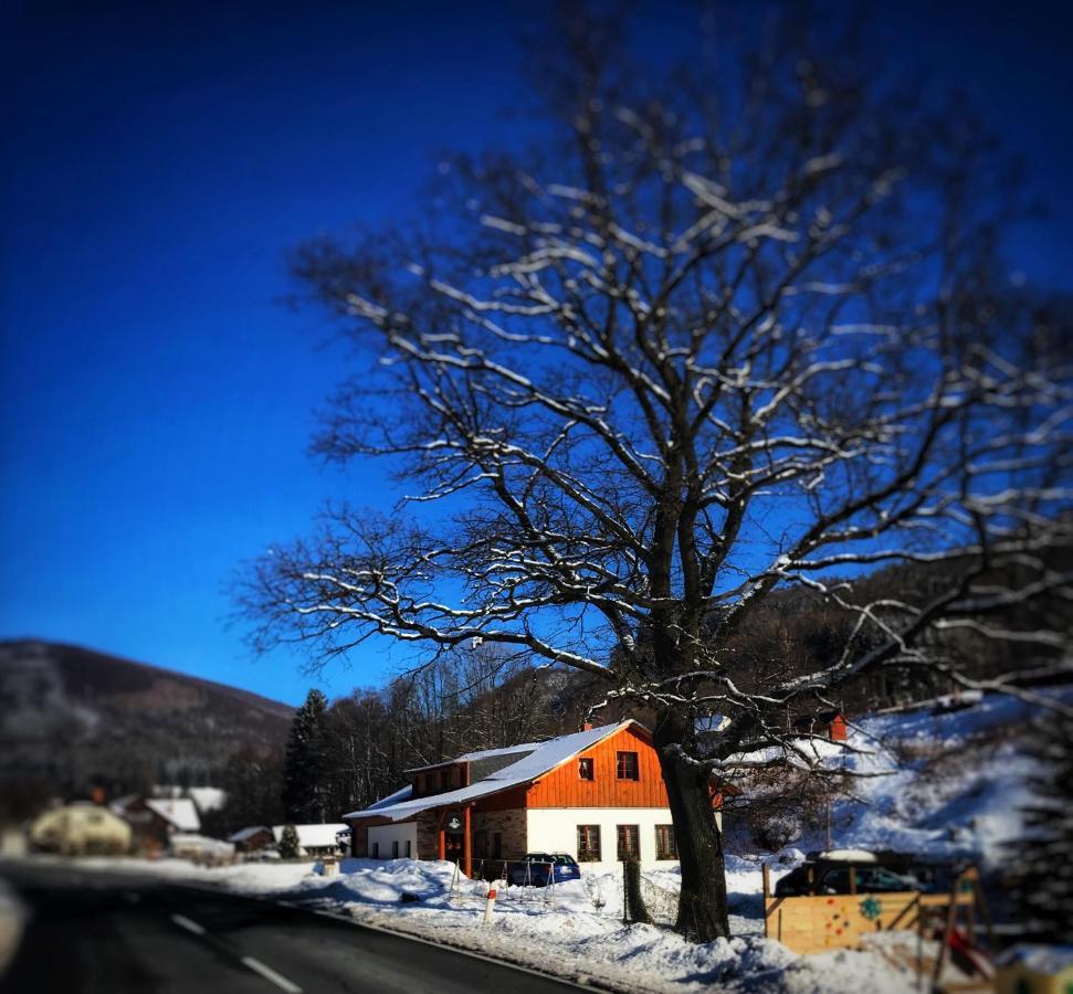 Chata u Cecila Loučná nad Desnou Esterno foto
