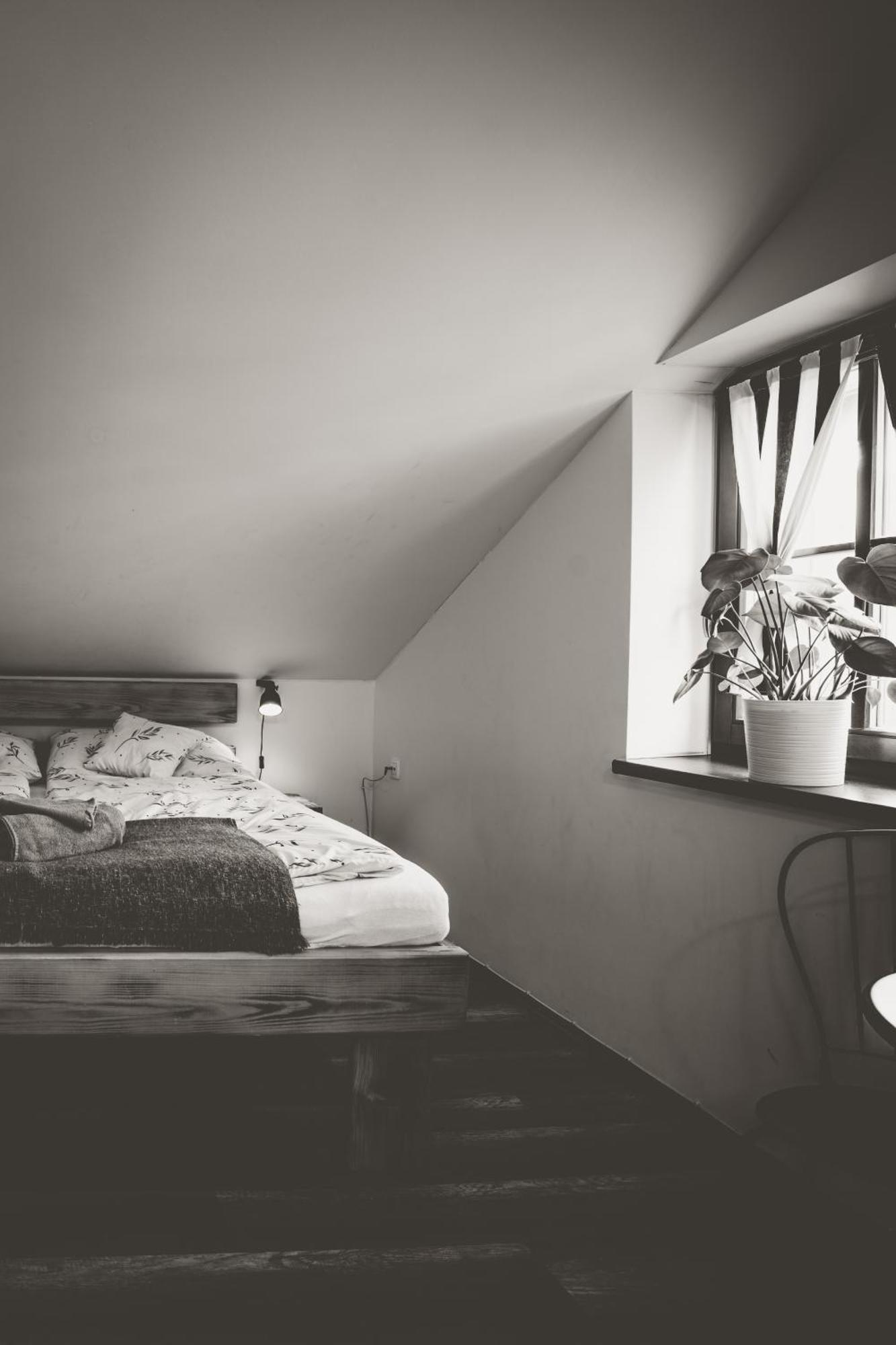 Chata u Cecila Loučná nad Desnou Esterno foto